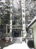 The Snow