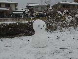 Snow 28